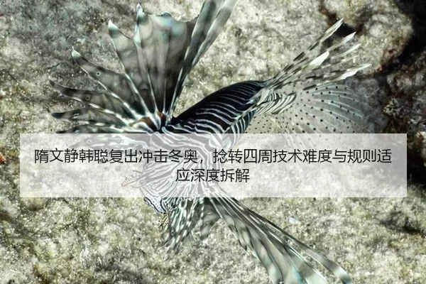 sui-wen-jing-han-cong-fu-chu-chong-ji-dong-ao-nian-zhuan-si-zhou-ji-shu-nan-du-yu-gui-ze-shi-ying-shen-du-chai-jie-2-581.jpg